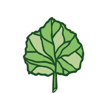 asset 13